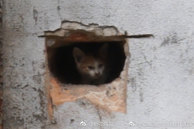 91亚洲精品久久久蜜桃 网站