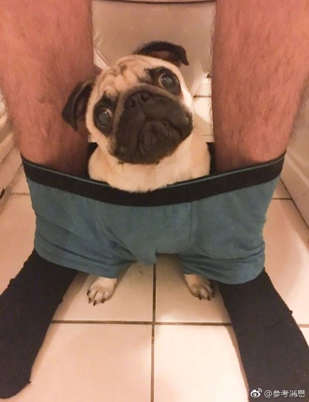 麻豆久久久