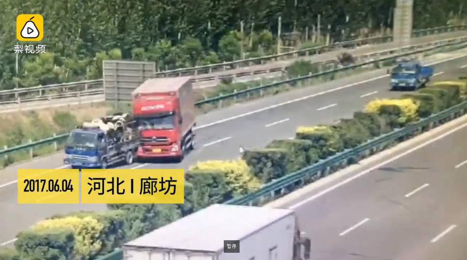 男男Gay互吃呜巴吞精