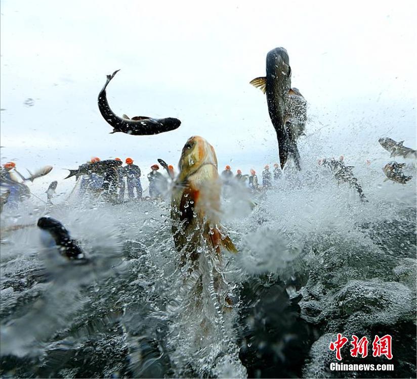 91久久国产露脸精品国产吴梦梦