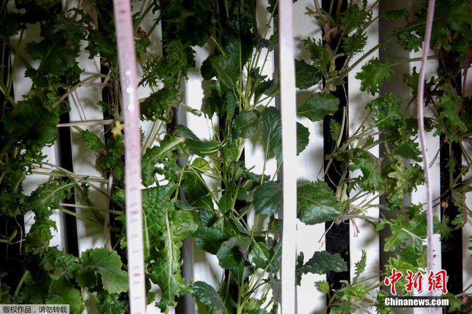 大量潮吹色情片