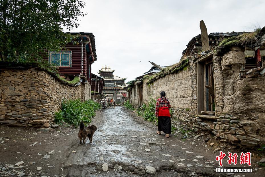 欧美三级又粗又硬