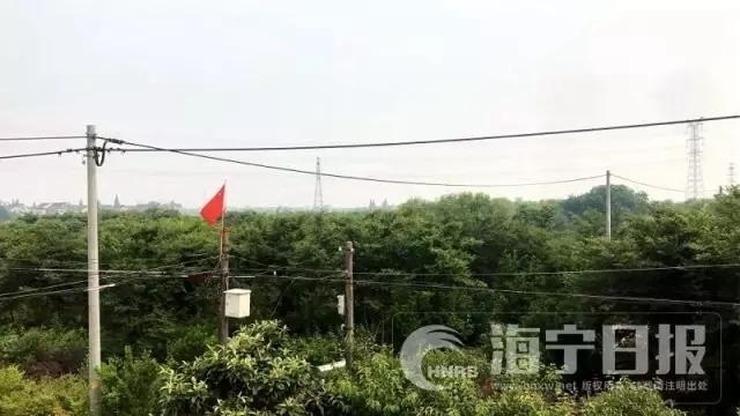 一次参加群交的真实经历