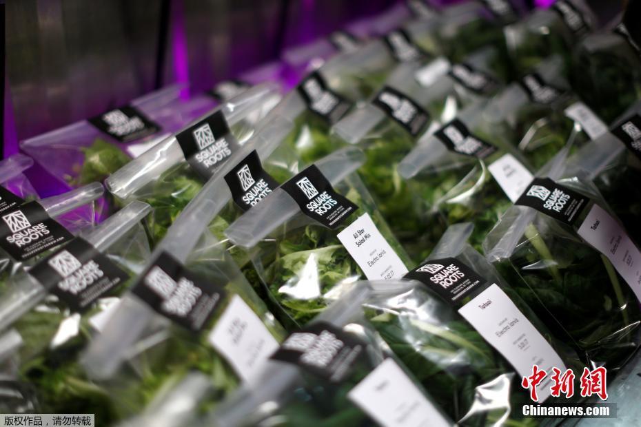 欧美禁止18