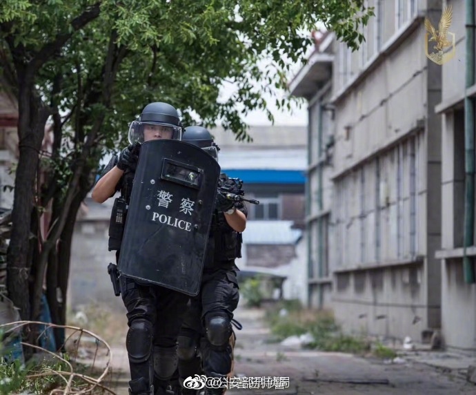 美女的秘密秘 免费视频