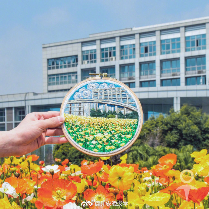 91网址