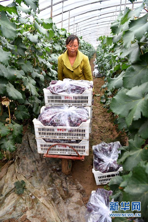 12孩岁女真人做爰