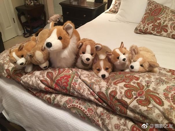 人妻三级片