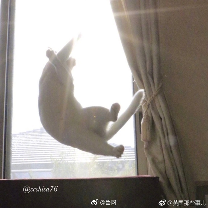 日本老熟女乱伦电影