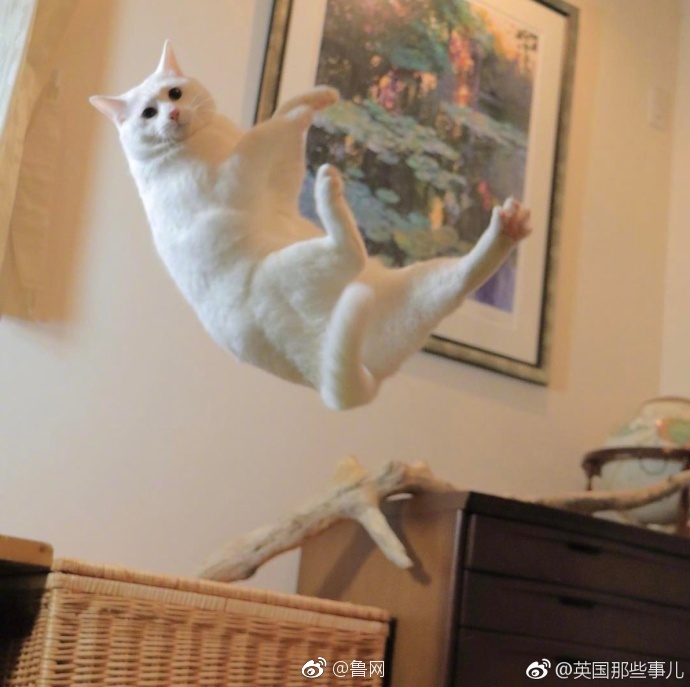 大又大又粗又硬又爽少妇毛片