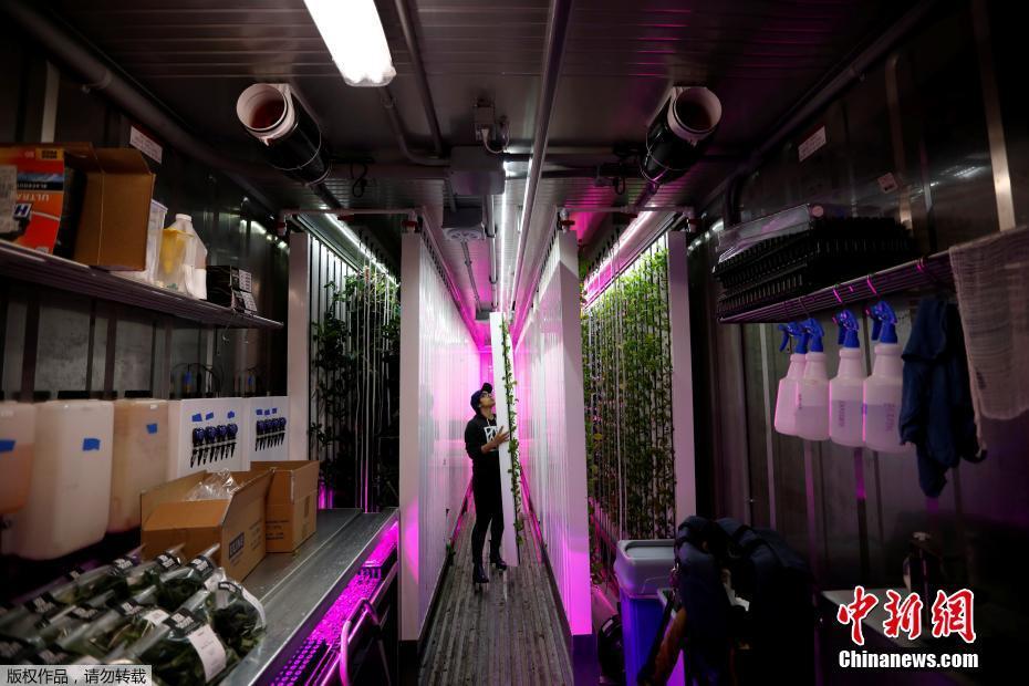 黄色网站App视频免费下载