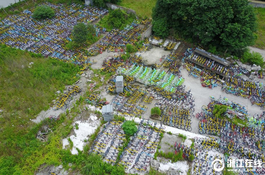 日韩怡红院