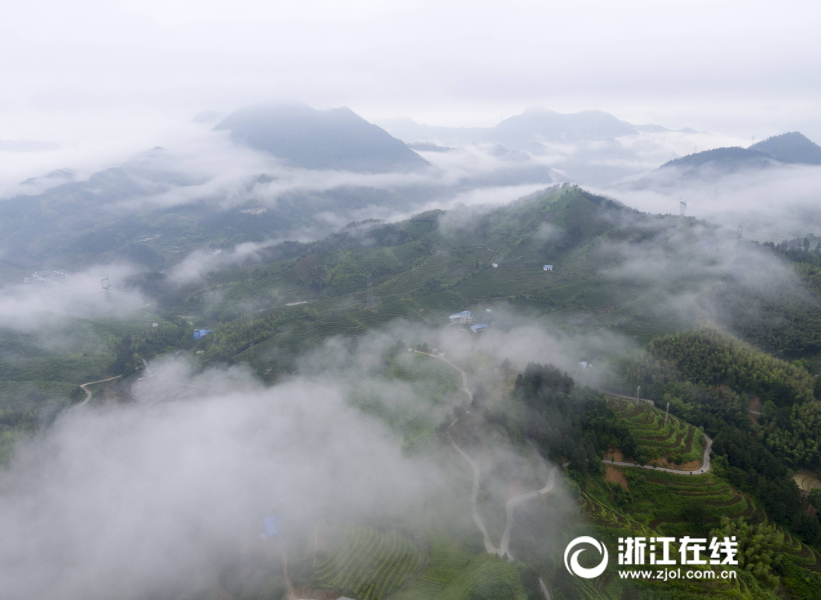 欧美黑人超大型淫色片
