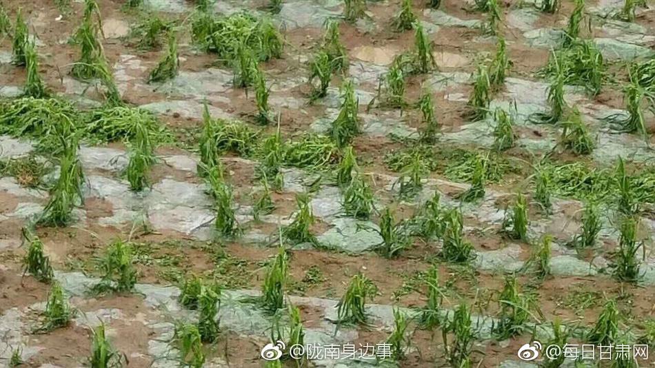 乱岳500乱肉合集