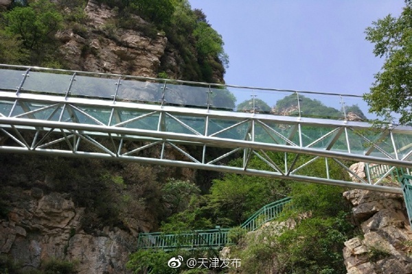 www.草莓视频