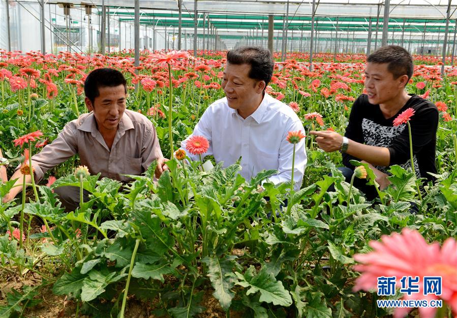 中国老年妇性生活Hd大全