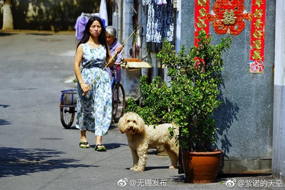 黄色三集片全黄