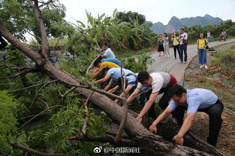 能看黄的网站