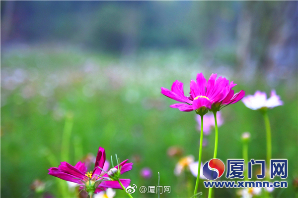18   在线观看网站