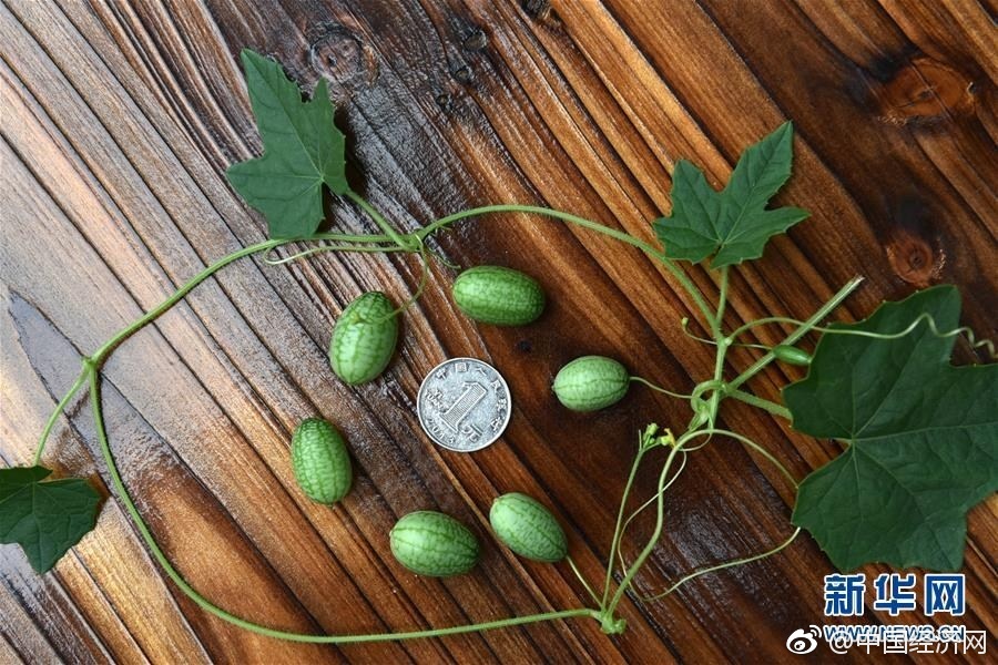 扒开美女 狂揉下部