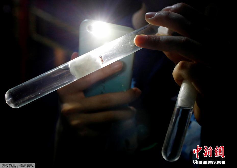 伸进内裤揉到高潮呻吟动漫图片