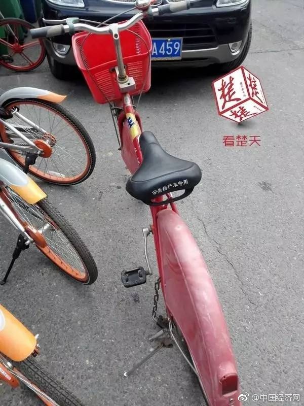 Free中国人妻Hd