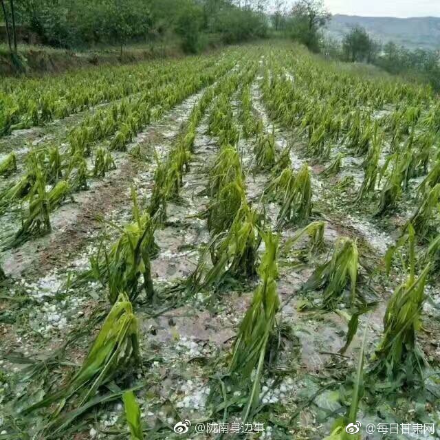 美月恋
