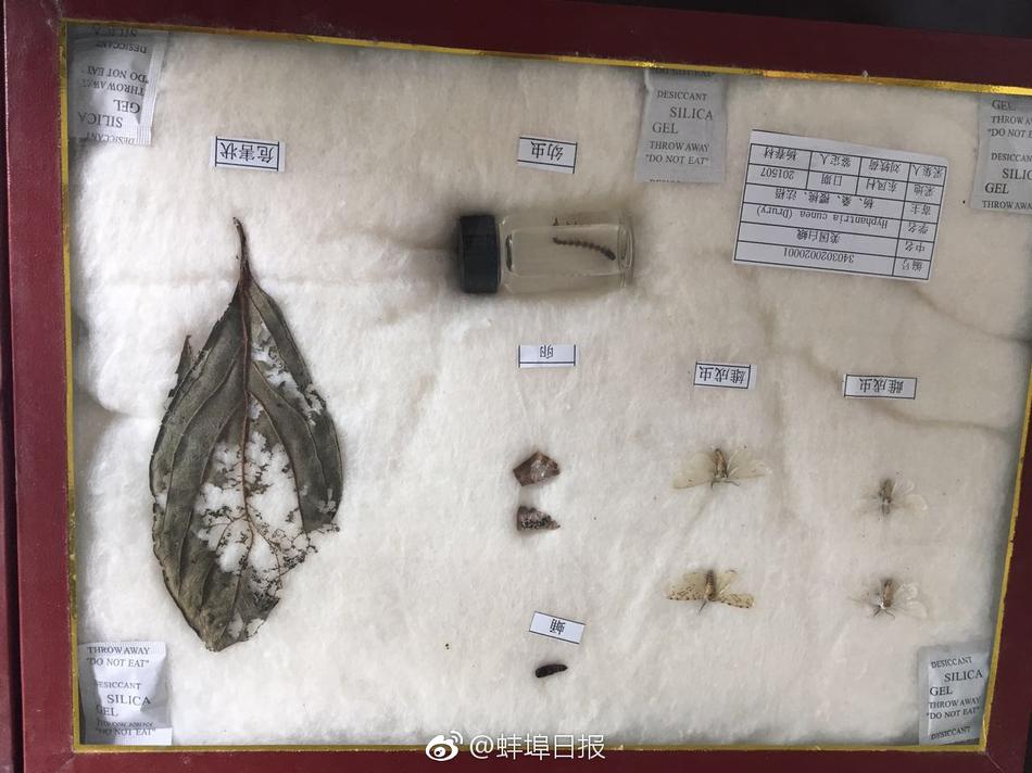 黄色视看看你呗