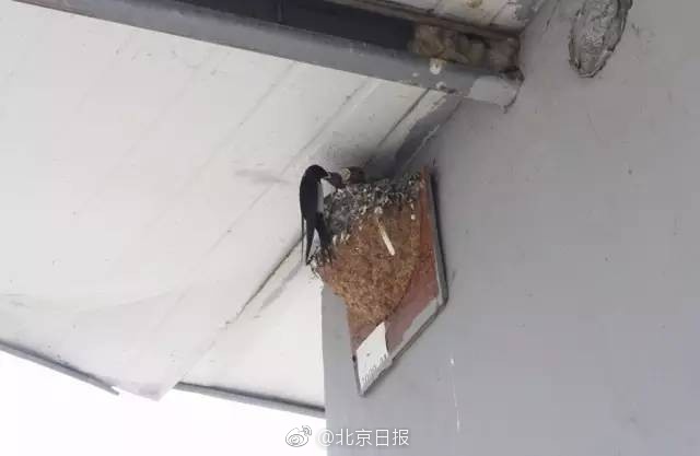 国产一级特黄大片