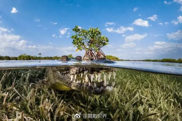 葵千惠