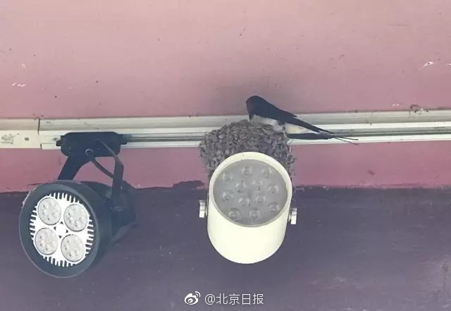 国产精品秘 果冻传媒麻豆