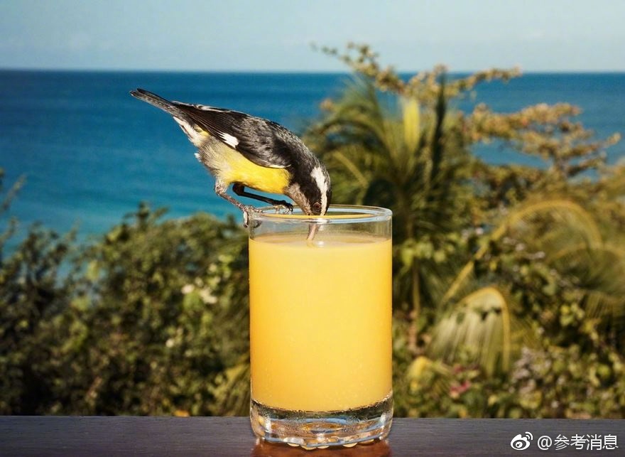 午夜电影