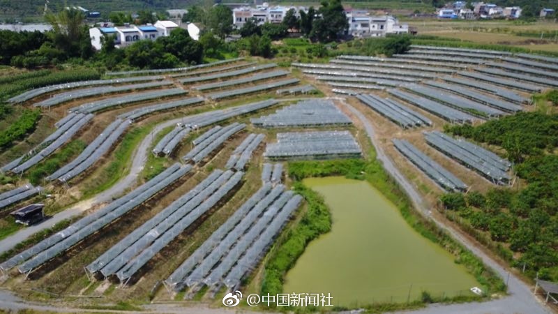 操你了高清无码
