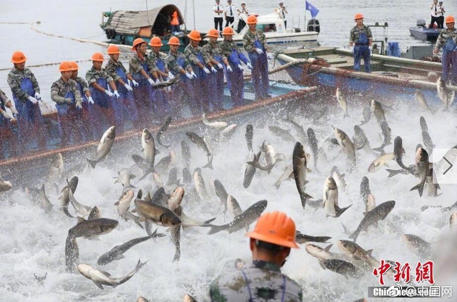Free农民工熟女丰满Hd