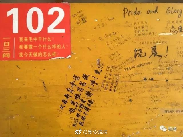 人与禽性动交ⅩXXX