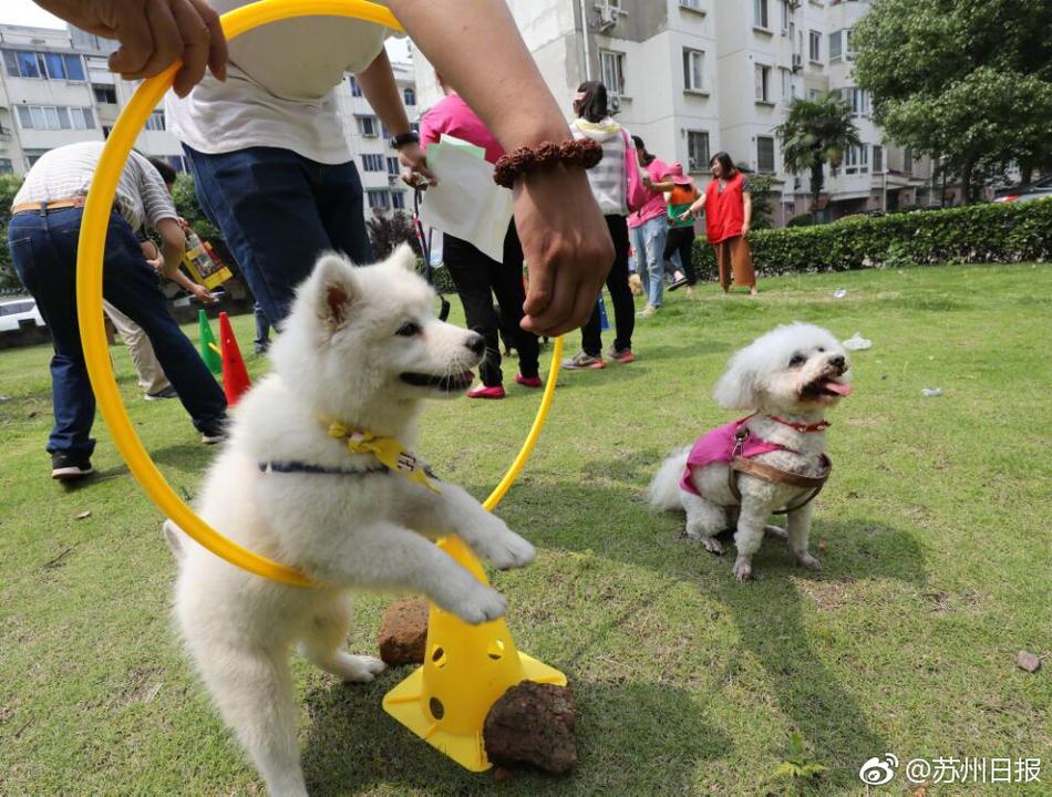 国产又爽 又黄 免费软件