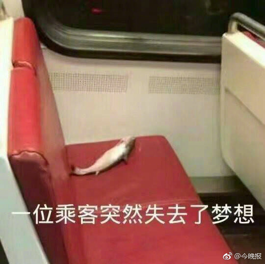 免费黃色三級片在线观看18伦