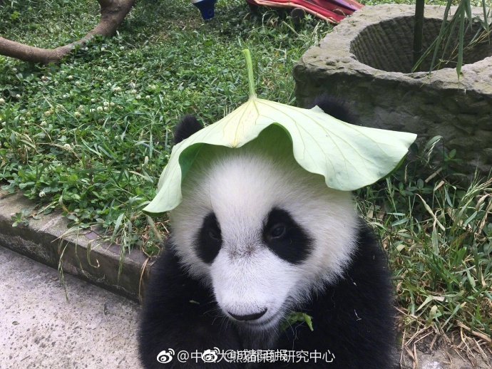 中国男人和女人A级片