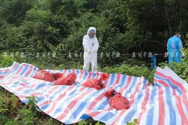 夫妻激情視頻中年