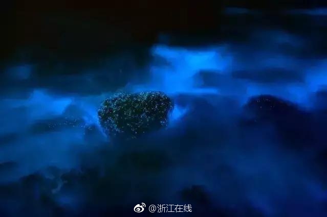 黄色电影 日本老太婆
