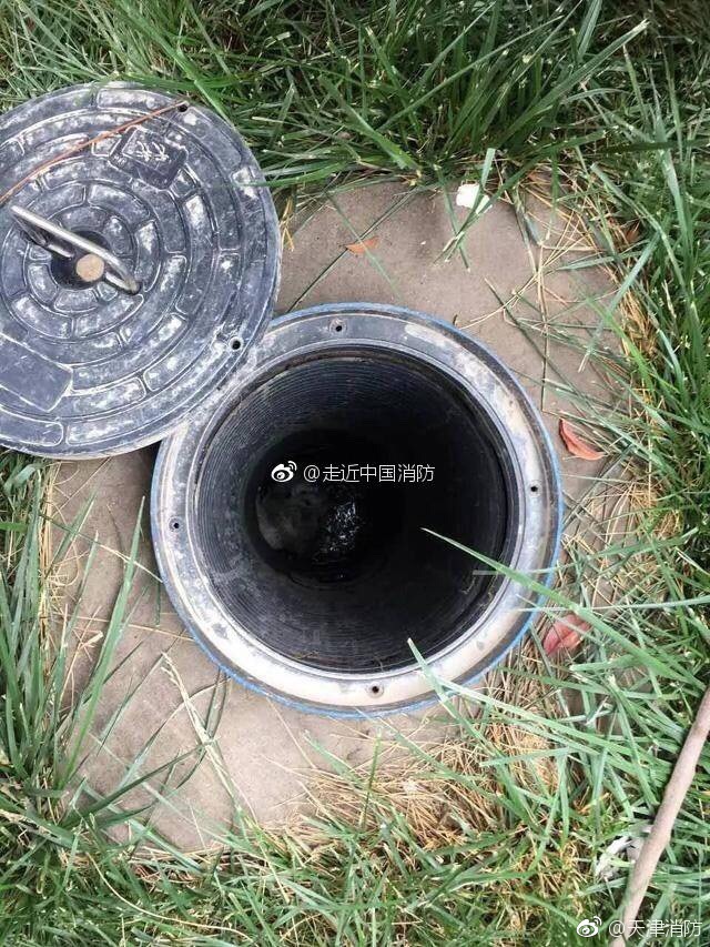 榴莲视频色版
