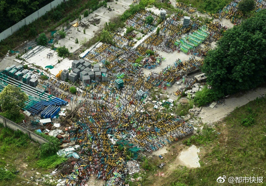 中文字幕一区二区三区四区五区