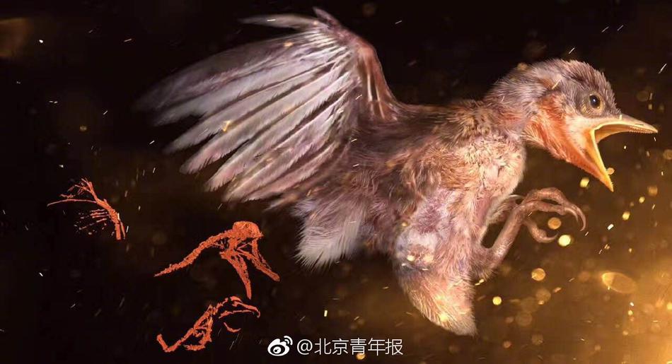 特级特黄AAAAAAAA片
