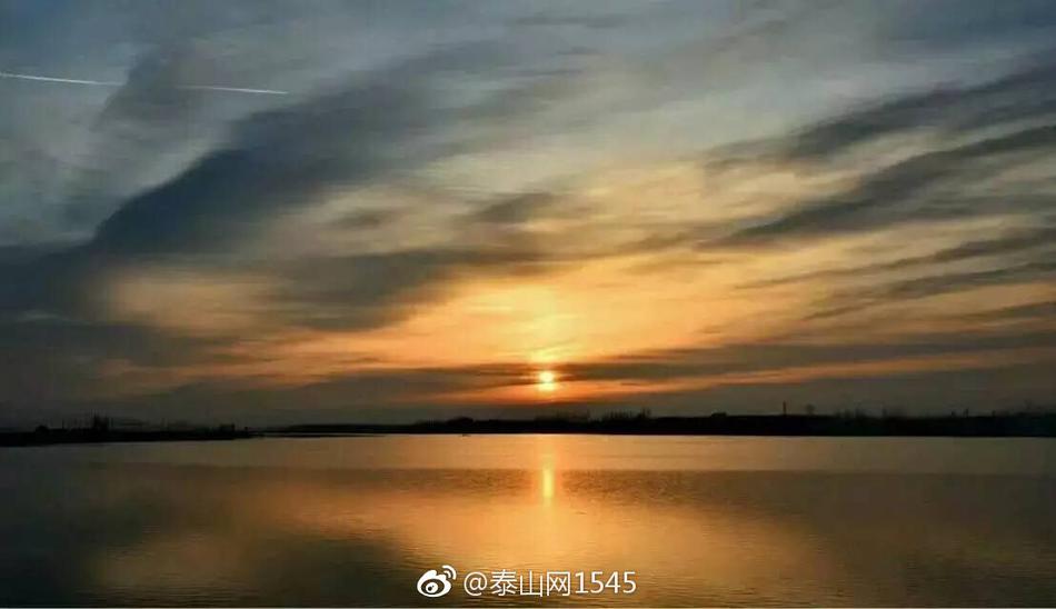 欧美 成人 电影 在线