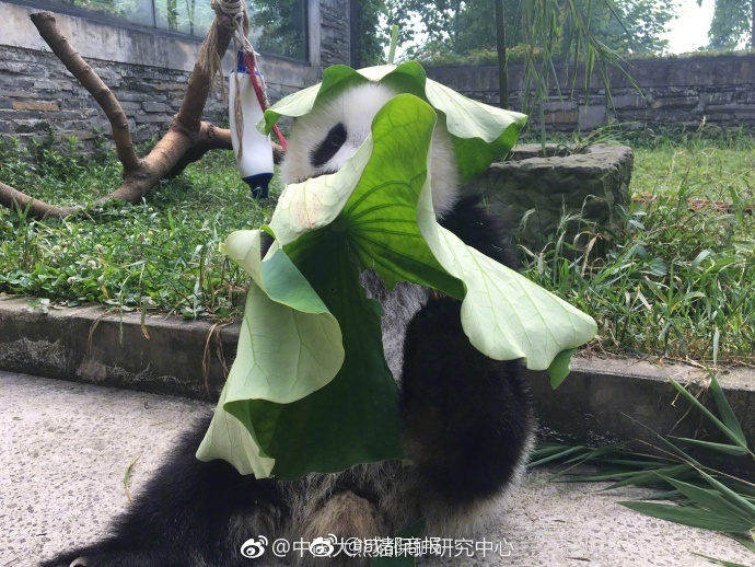 免费看的黄 网站