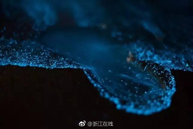 雨宮留菜