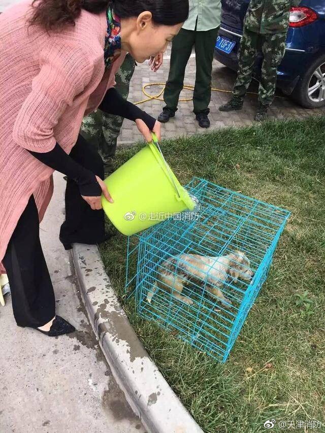 国产永久的黄色网站