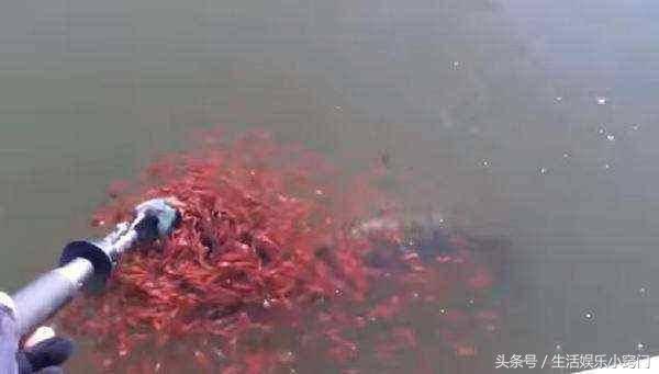 偷拍自拍亚洲