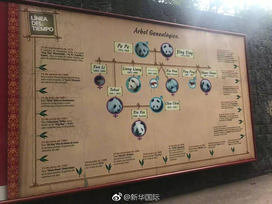 撸撸网站