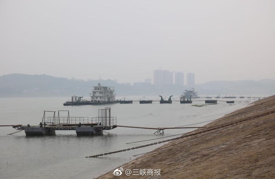 上身黄色网站